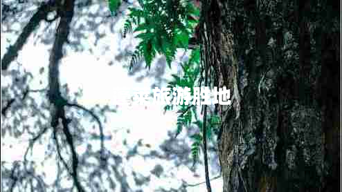 蓬萊旅游勝地