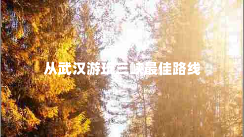 從武漢游玩三峽最佳路線(xiàn)