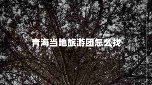 青海當地旅游團怎么找