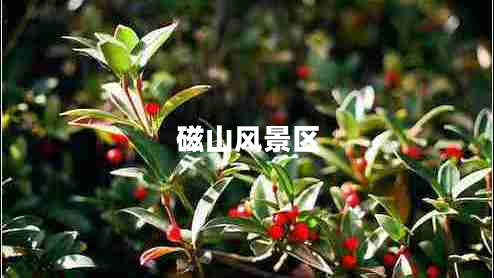 磁山風(fēng)景區