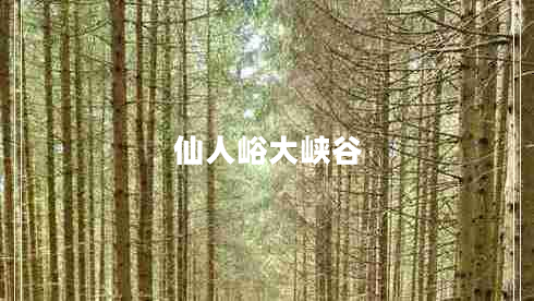仙人峪大峽谷