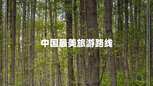 中國最美旅游路線(xiàn)