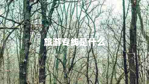 旅游專(zhuān)線(xiàn)是什么