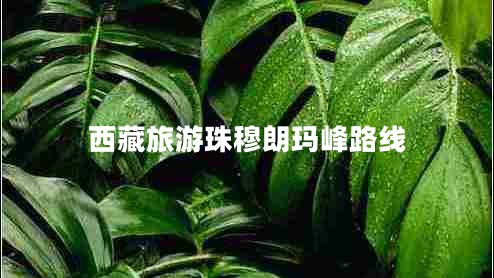 西藏旅游珠穆朗瑪峰路線(xiàn)