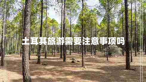 土耳其旅游需要注意事項嗎