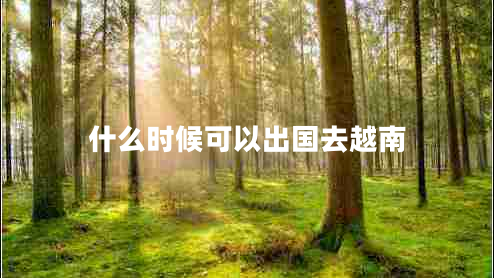 什么時(shí)候可以出國去越南