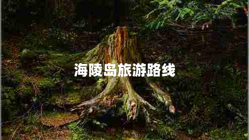 海陵島旅游路線(xiàn)