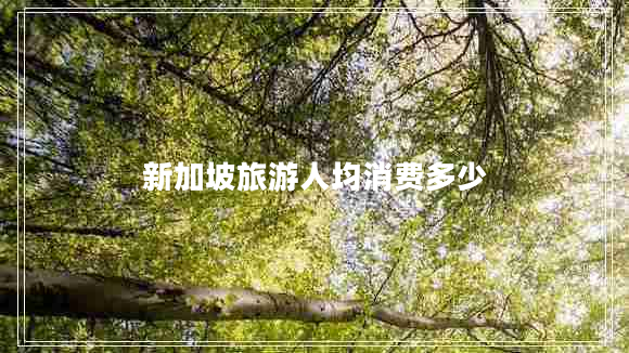 新加坡旅游人均消費多少