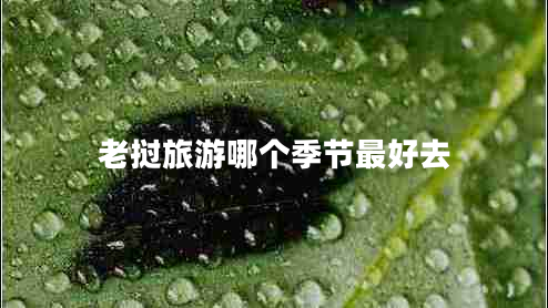 老撾旅游哪個(gè)季節最好去