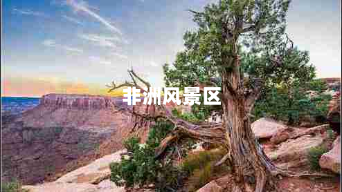 非洲風(fēng)景區