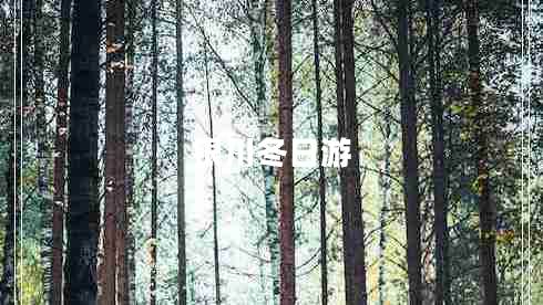 銀川冬日游