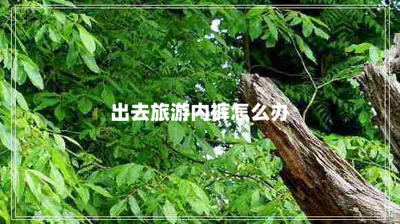 出去旅游內褲怎么辦