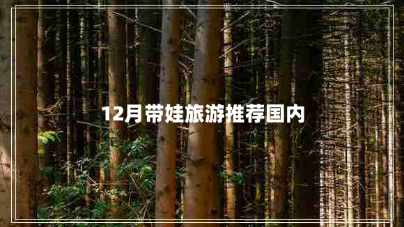 12月帶娃旅游推薦國內