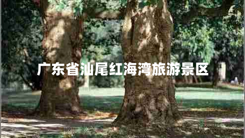 廣東省汕尾紅海灣旅游景區