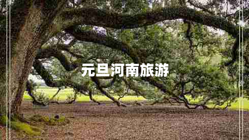 元旦河南旅游