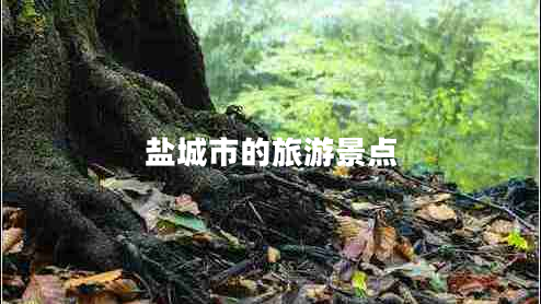 鹽城市的旅游景點(diǎn)