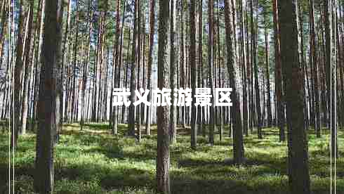 武義旅游景區