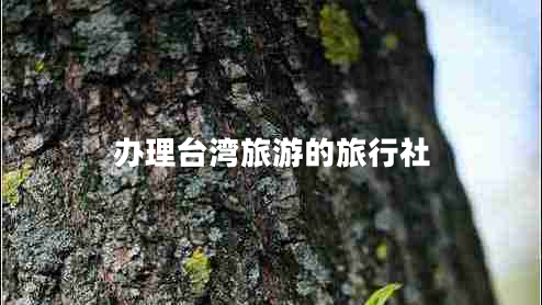辦理臺灣旅游的旅行社