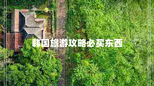 韓國旅游攻略必買(mǎi)東西