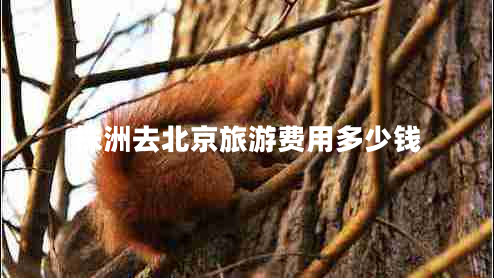株洲去北京旅游費用多少錢(qián)
