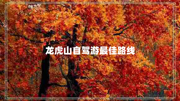 龍虎山自駕游最佳路線(xiàn)