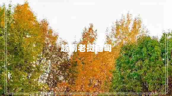 越南老撾緬甸