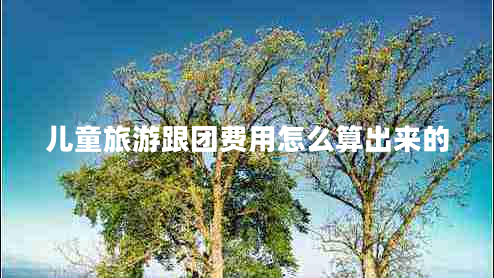 兒童旅游跟團費用怎么算出來(lái)的