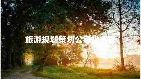 旅游規劃策劃公司排名榜