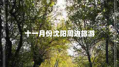 十一月份沈陽(yáng)周邊旅游