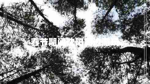 春節期間沈陽(yáng)周邊游玩