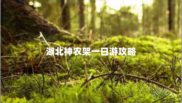 湖北神農架一日游攻略