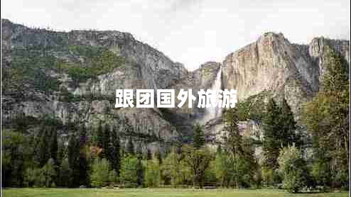 跟團(tuán)國(guó)外旅游