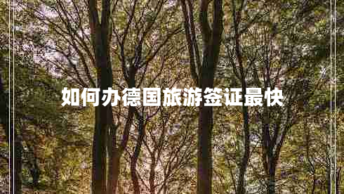 如何辦德國旅游簽證最快