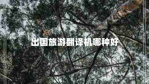 出國旅游翻譯機哪種好