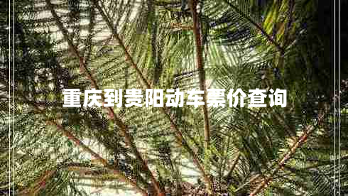 重慶到貴陽(yáng)動(dòng)車(chē)票價(jià)查詢(xún)