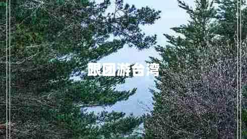 跟團游臺灣