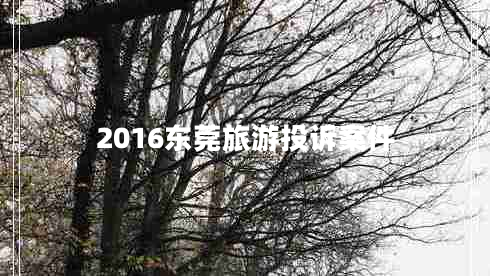 2016東莞旅游投訴案件