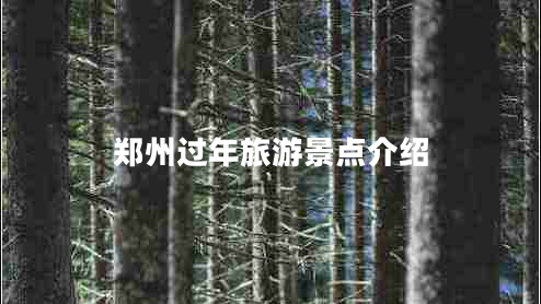 鄭州過(guò)年旅游景點(diǎn)介紹