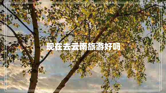 現在去云南旅游好嗎