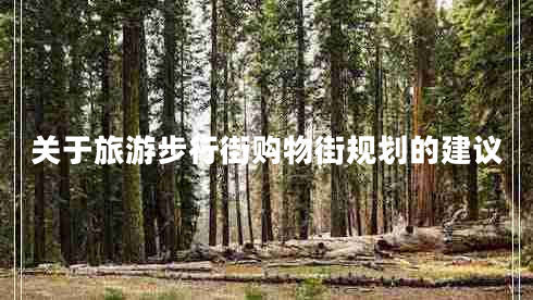 關(guān)于旅游步行街購物街規劃的建議