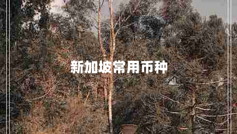 新加坡常用幣種