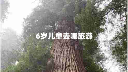 6歲兒童去哪旅游