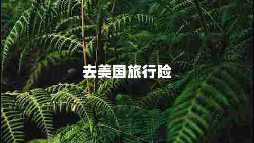 去美國旅行險