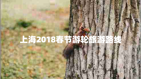上海2018春節游輪旅游路線(xiàn)