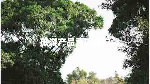 旅游產(chǎn)品營(yíng)銷(xiāo)推廣