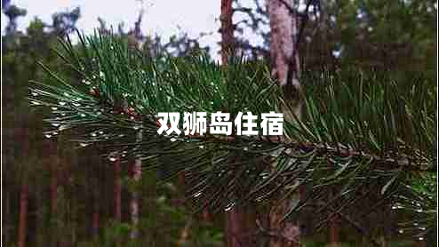 雙獅島住宿
