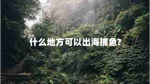 什么地方可以出海捕魚(yú)?