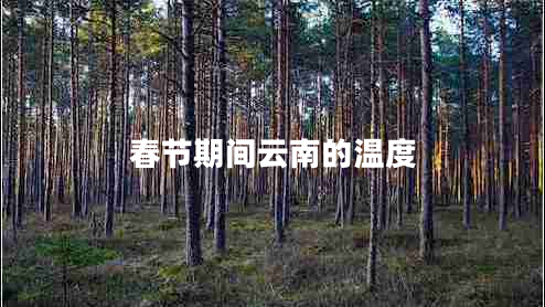 春節期間云南的溫度