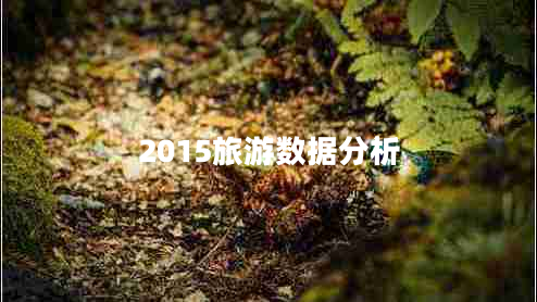 2015旅游數據分析
