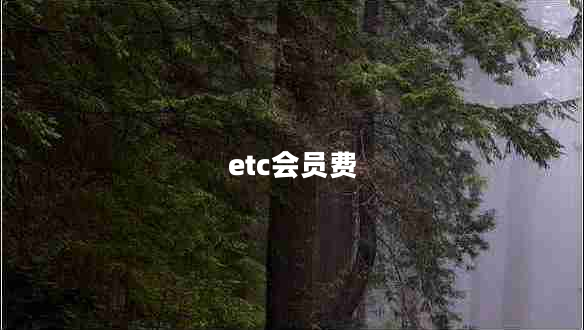 etc會(huì )員費